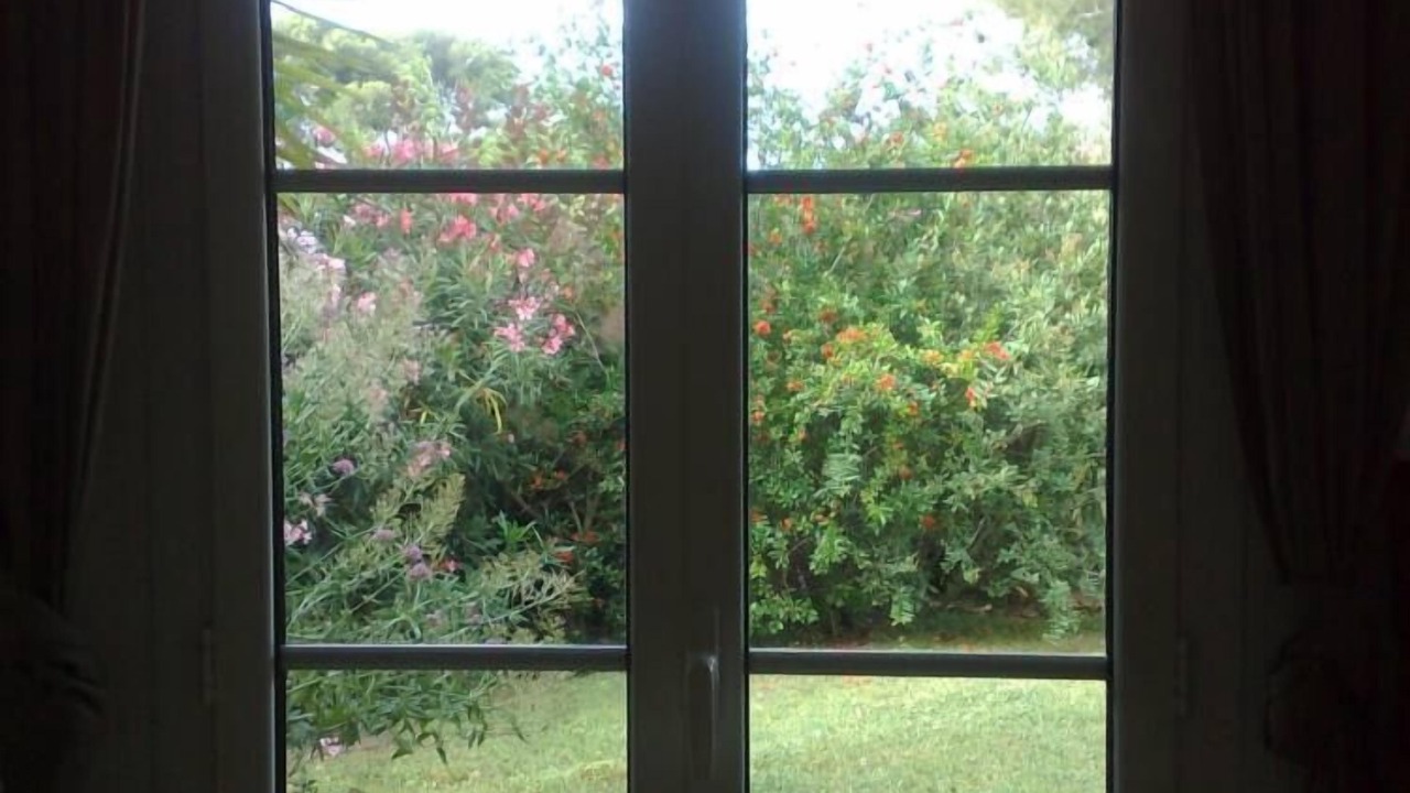 Photo of Outdoor in Le Dramont