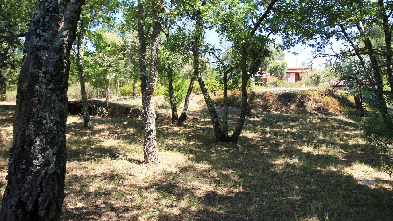 Photo of Outdoor in Bagnols-en-Foret