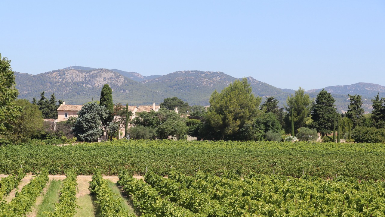 Photo of Outdoor in Carpentras