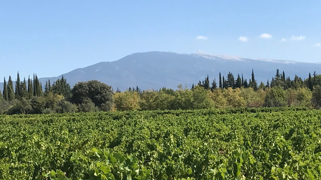 Photo of Outdoor in Carpentras