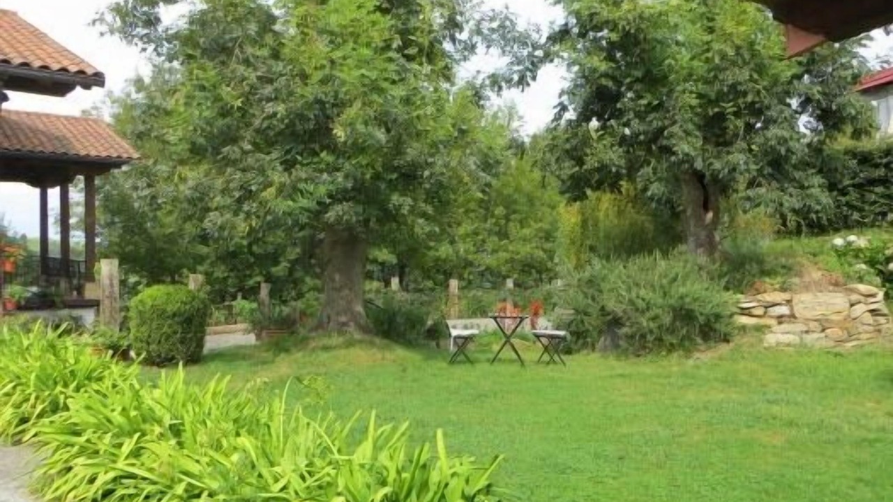 Photo of Outdoor in Olaskoegia