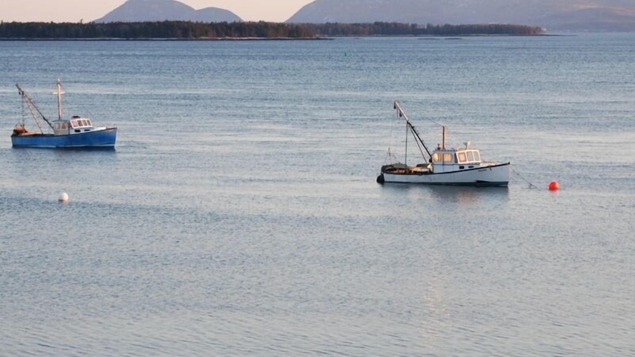 Photo of Others in Sullivan