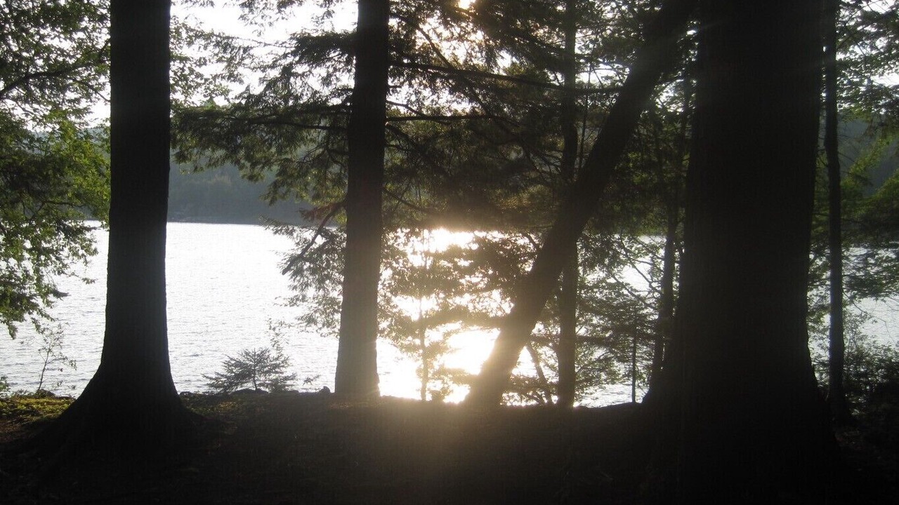 Photo of Others in Inlet