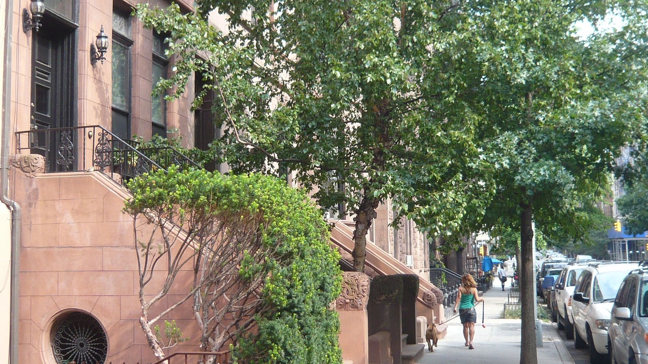 Photo of Others in Upper West Side