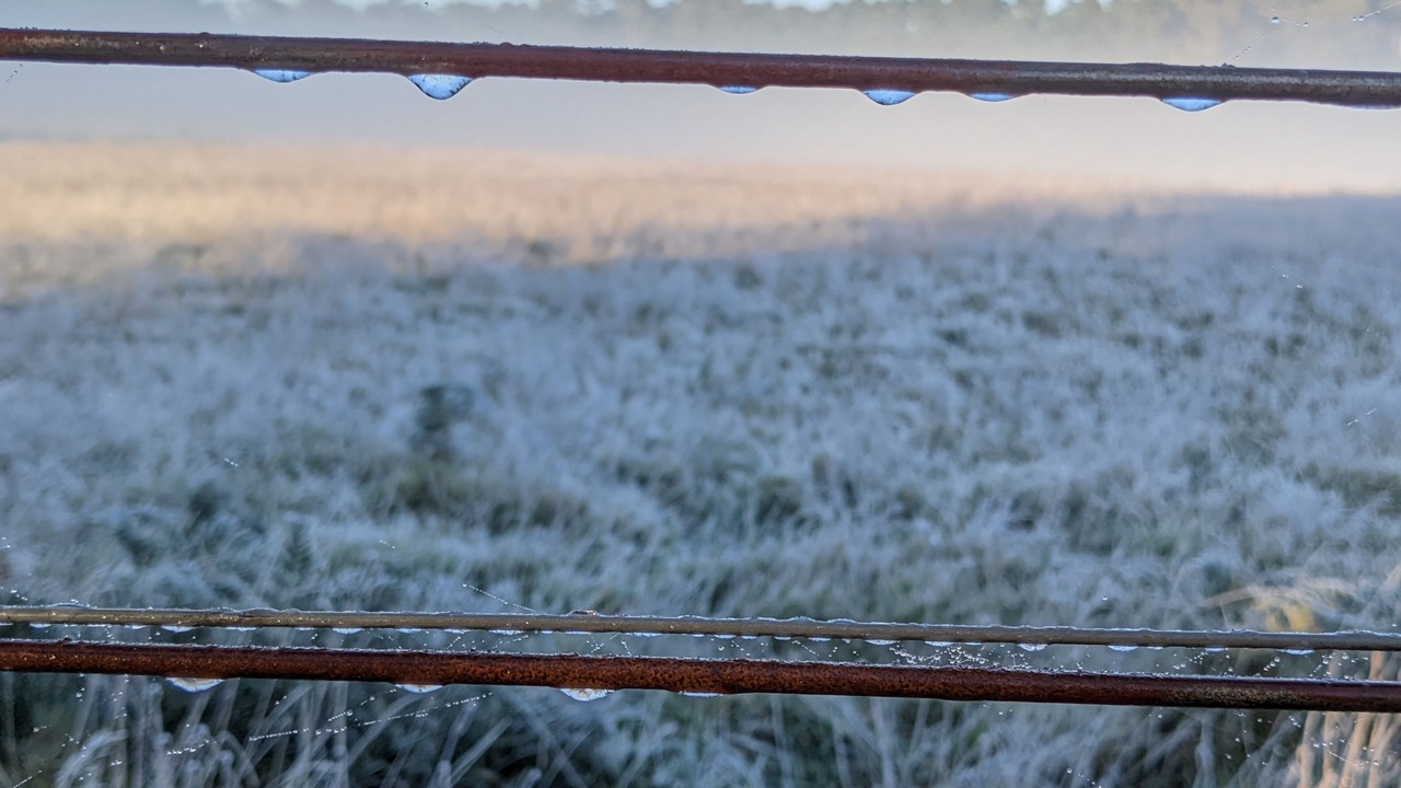 Photo of Others in Blackwood