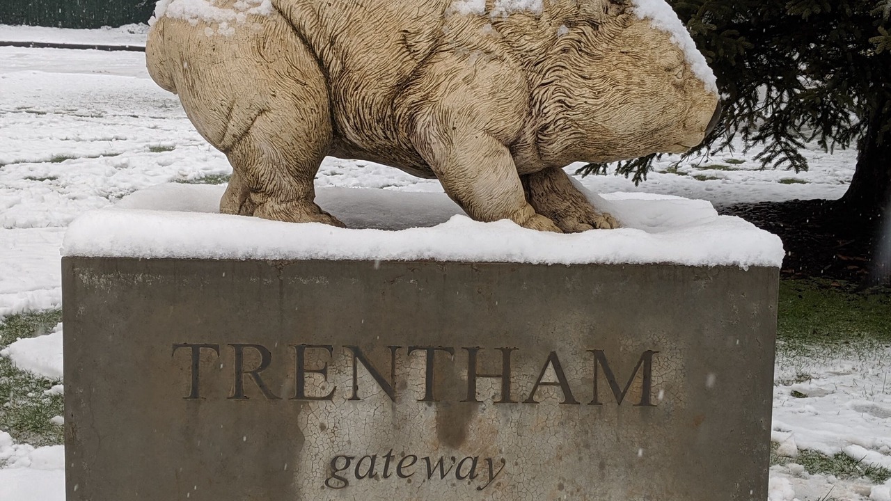 Photo of Others in Blackwood