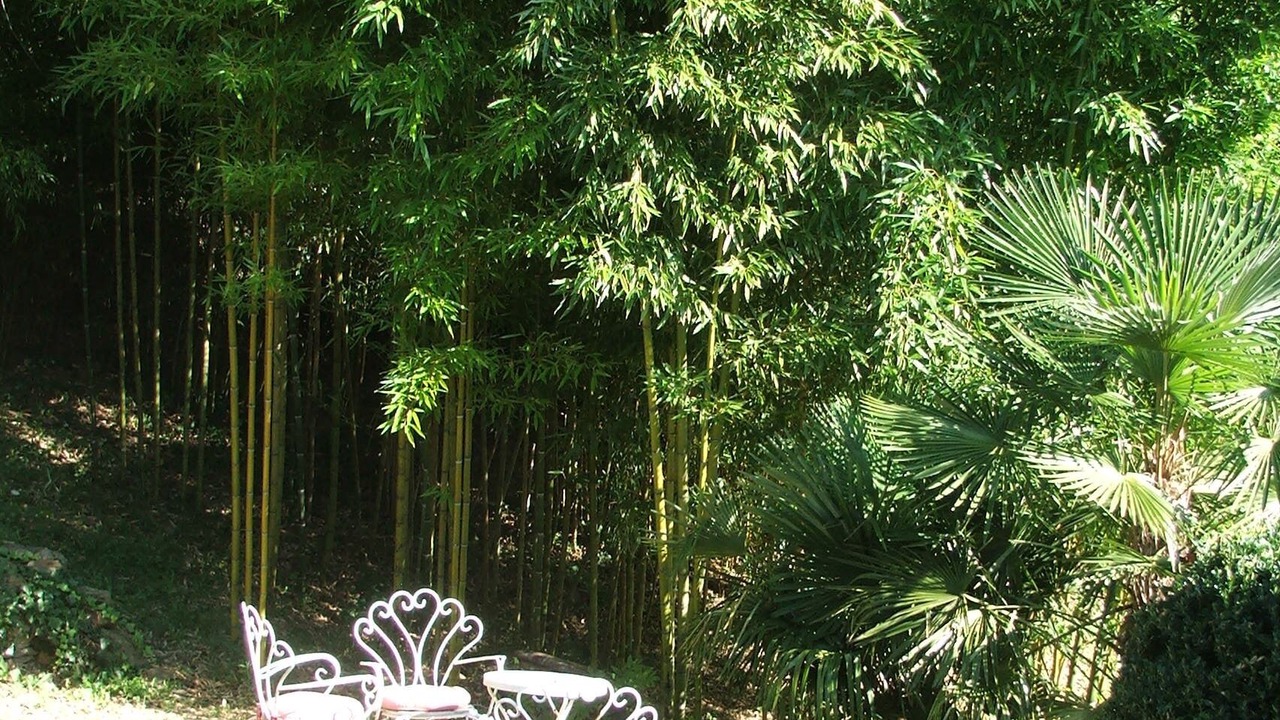 Photo of Outdoor in Montferrer