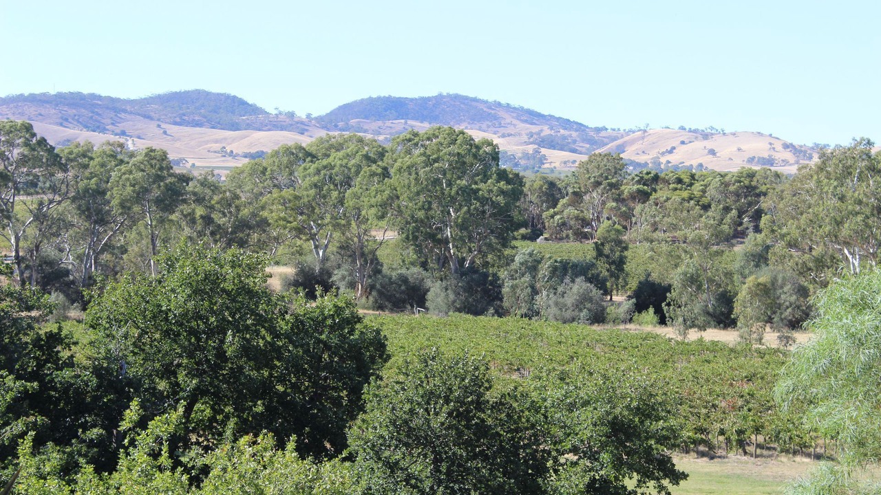Photo of Outdoor in Tanunda