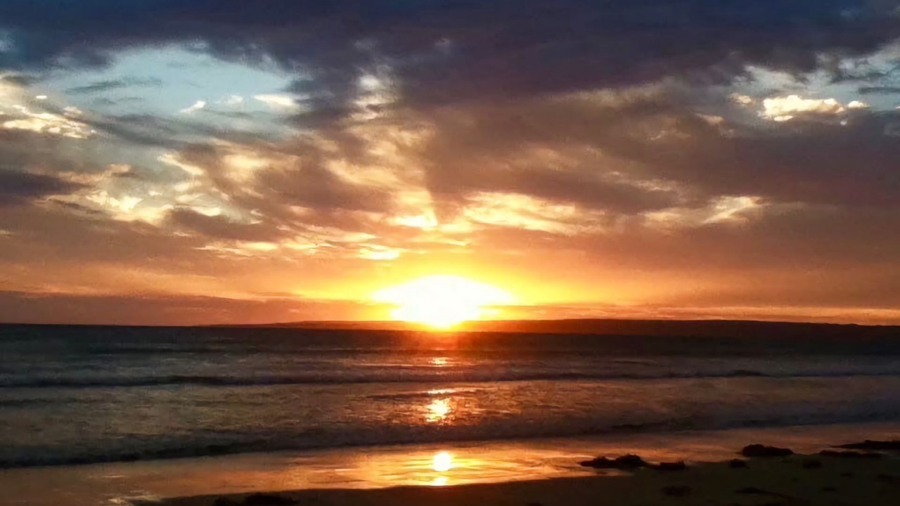 Photo of Others in Sandy Point