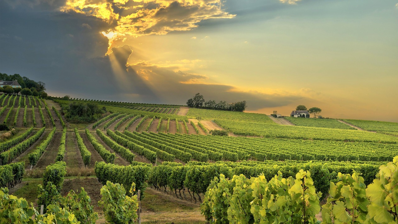 Photo of Outdoor in Montouliers