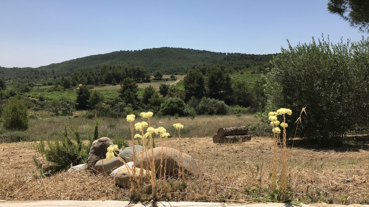 Photo of Outdoor in Montouliers