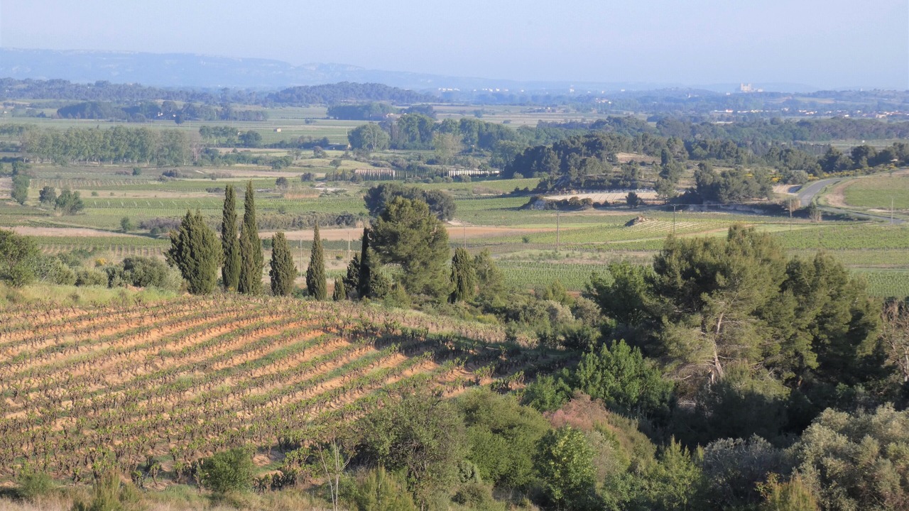 Photo of Others in Montouliers