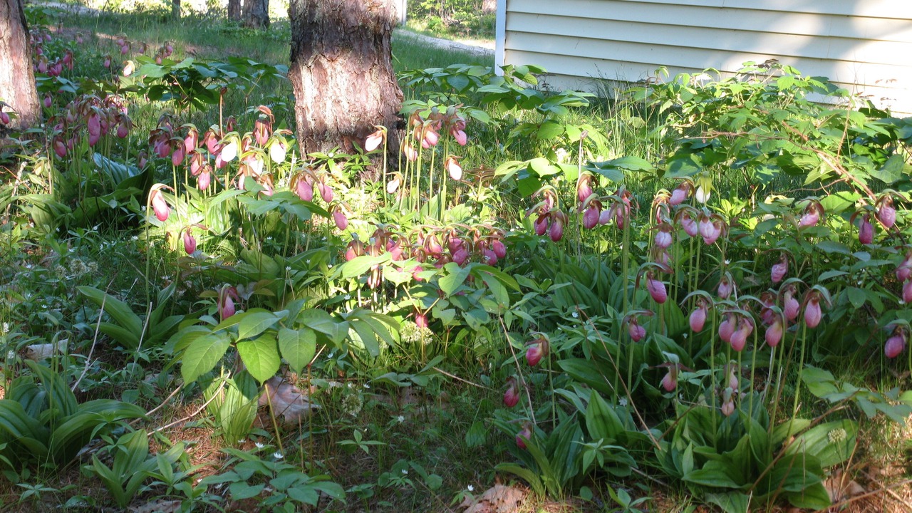 Photo of Others in Phippsburg
