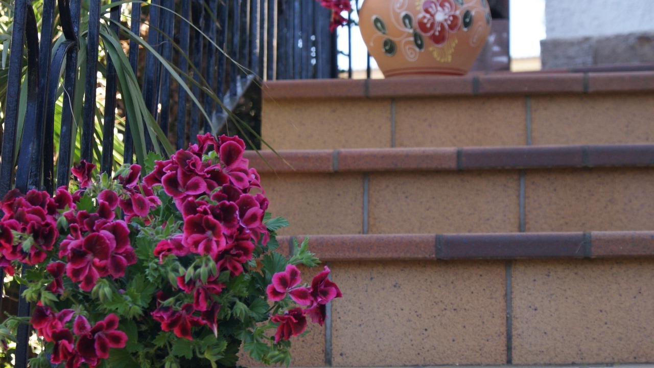 Photo of Outdoor in Balcon del Mar