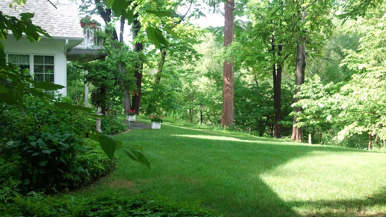 Photo of Outdoor in Willoughby