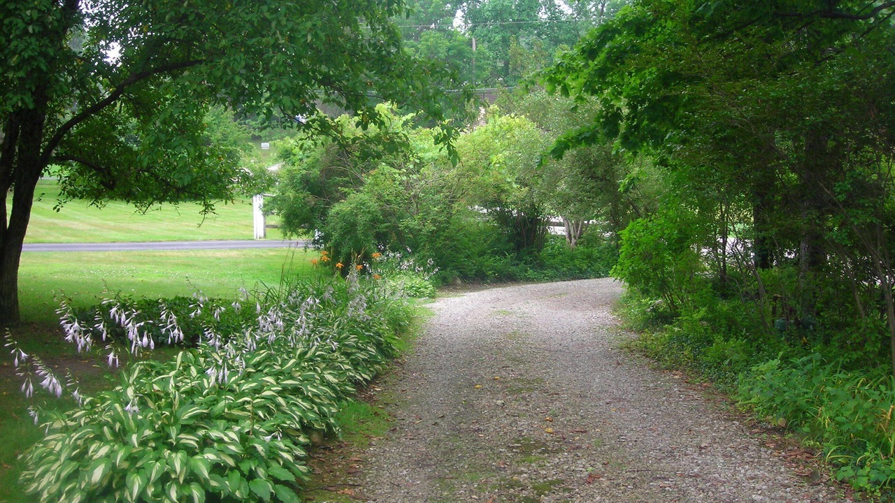 Photo of Others in Willoughby