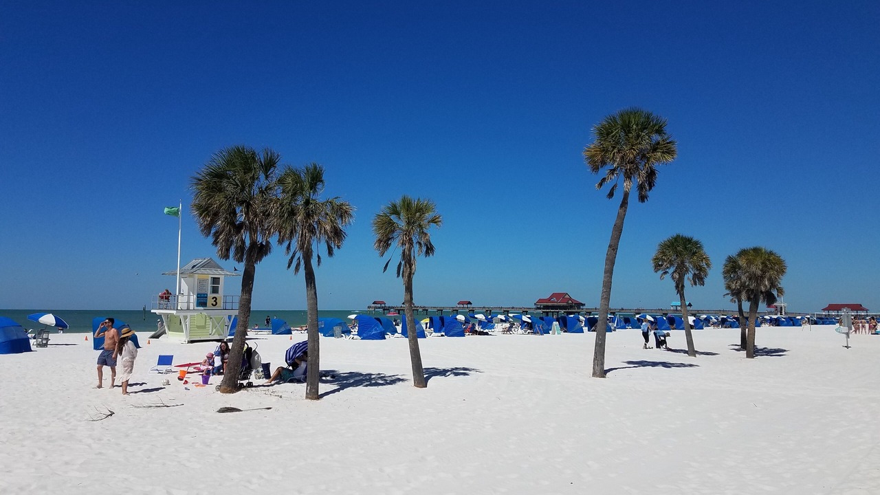 Photo of Others in Clearwater Beach