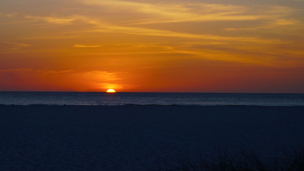 Photo of Others in Clearwater Beach