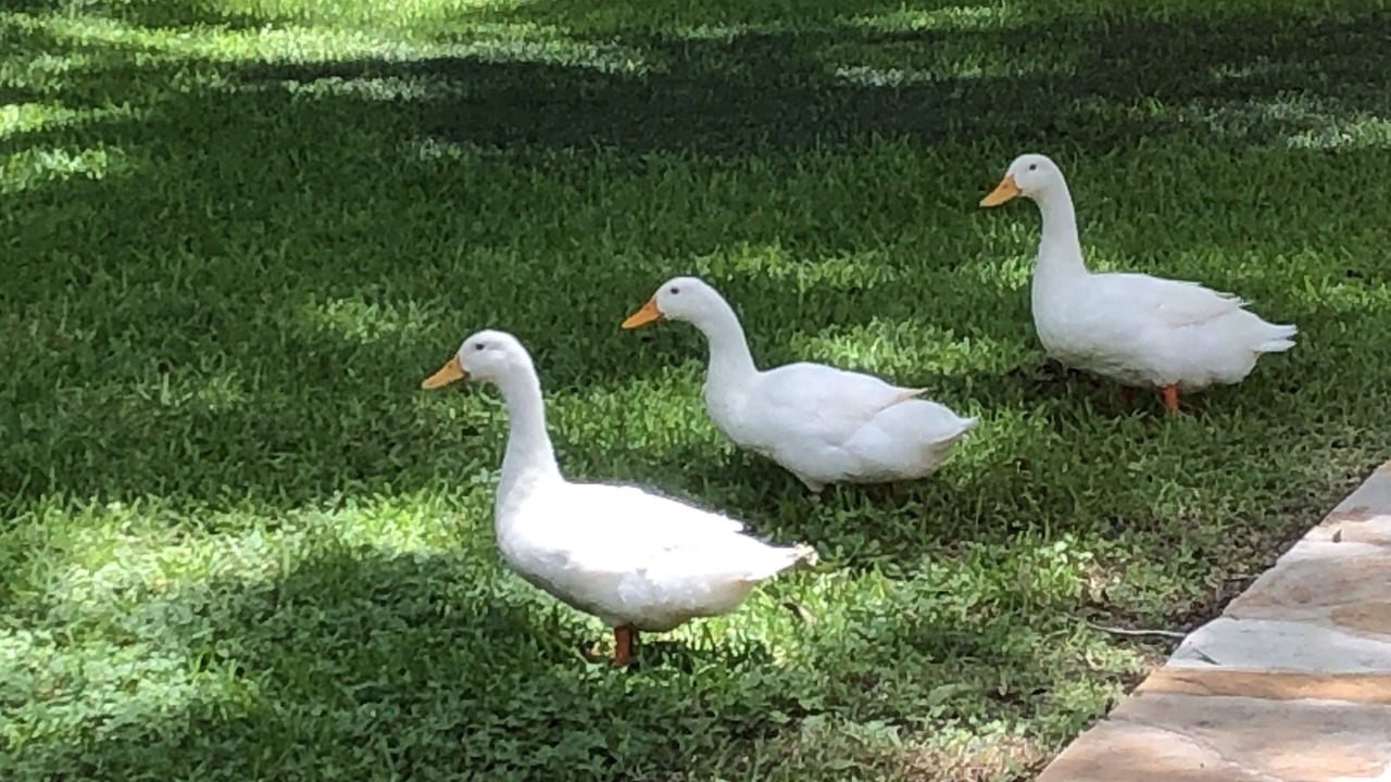 Photo of Others in Seguin