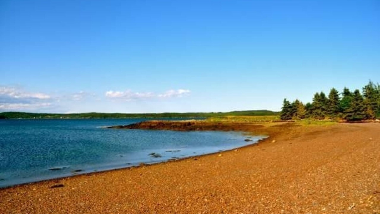 Photo of Others in Eastport