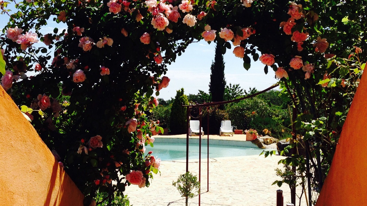 Photo of Outdoor in Saint-Raphael