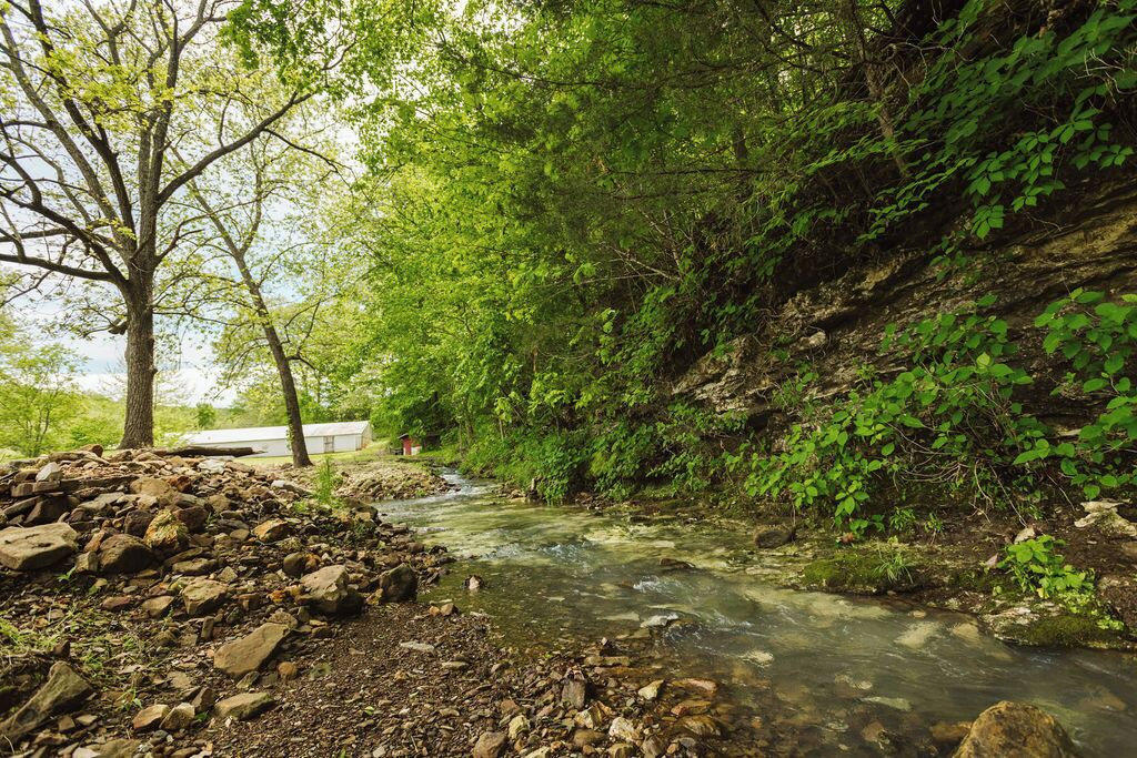 Photo of Others in Huntsville