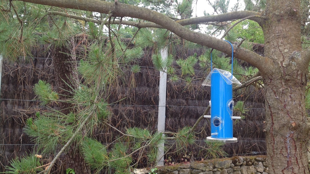 Photo of Outdoor in L'Epine