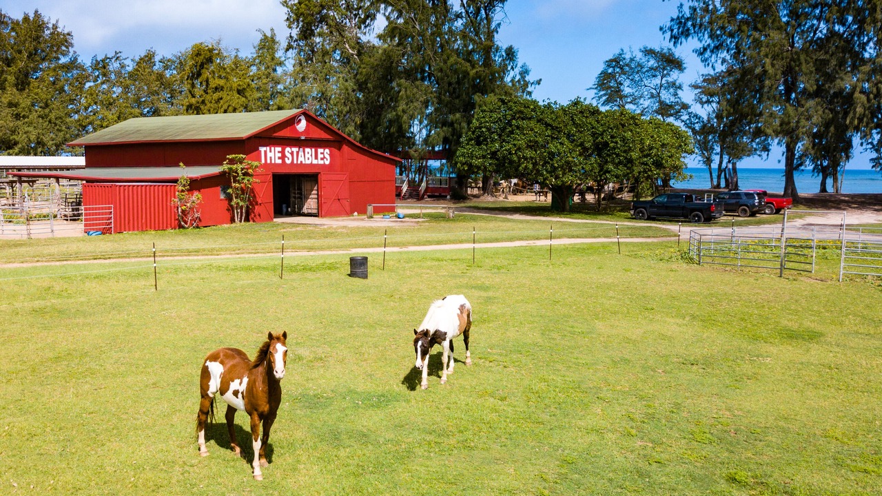 Photo of Others in Kahuku