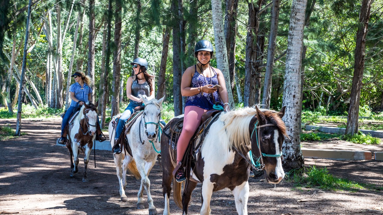Photo of Others in Kahuku
