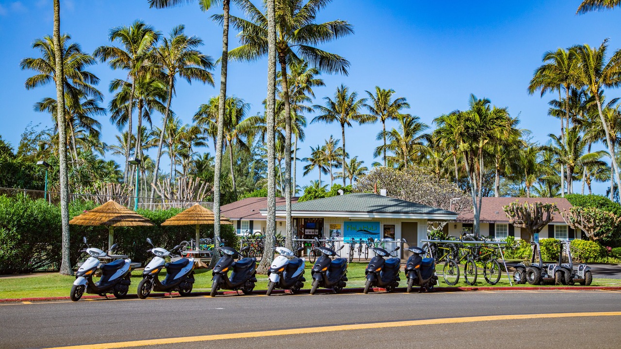 Photo of Others in Kahuku