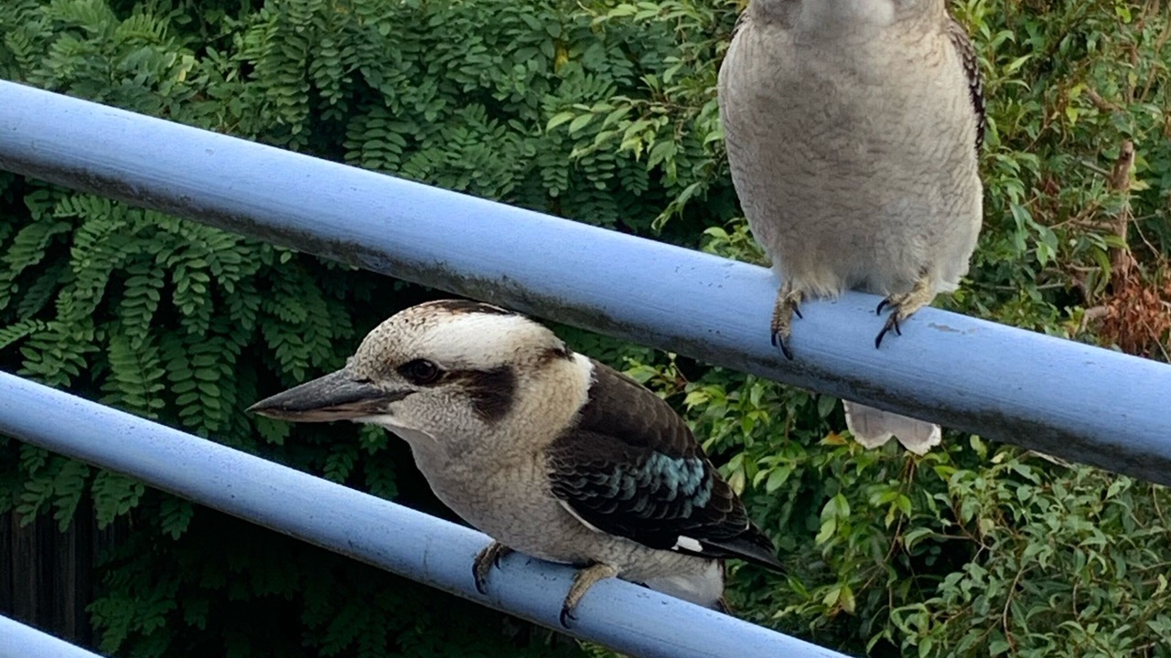 Photo of Patio Balcony in Lorne