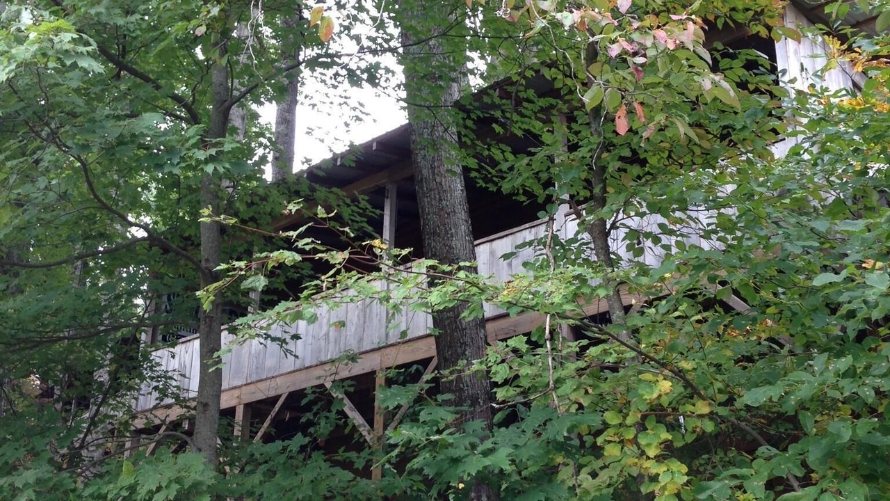 Photo of Others in Candler