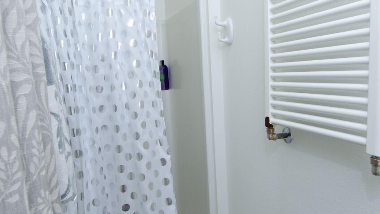 Photo of Others in Olympia