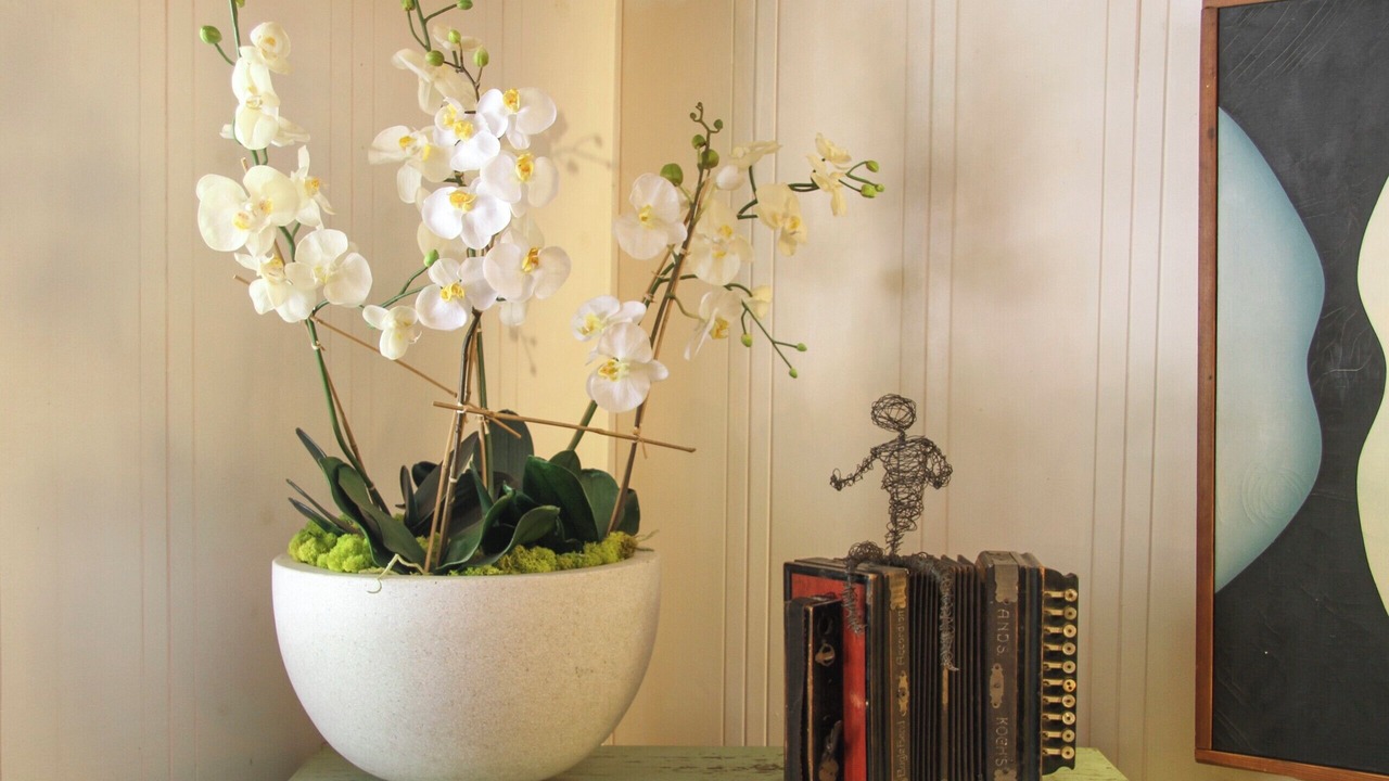 Photo of Others in Rio Nido