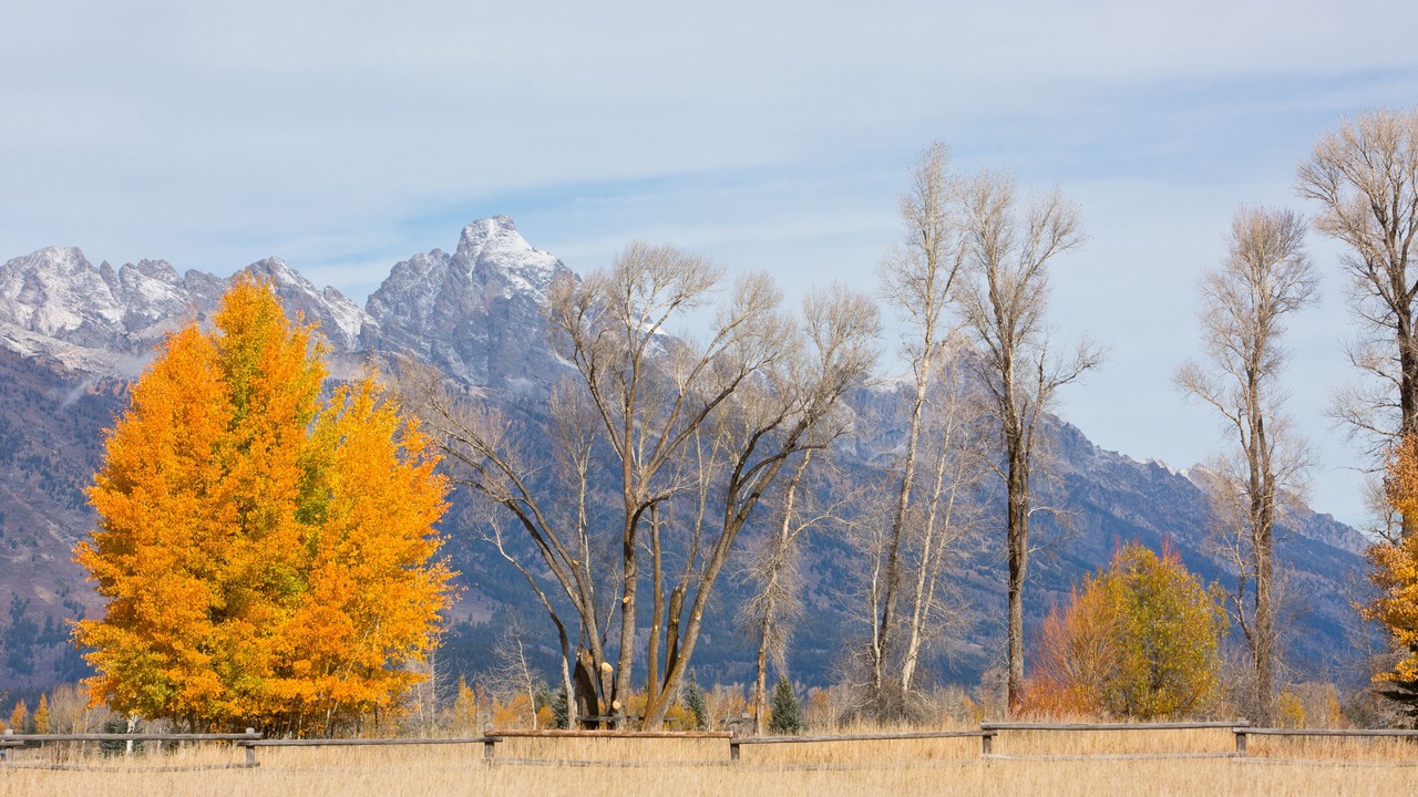 Photo of Outdoor in Jackson