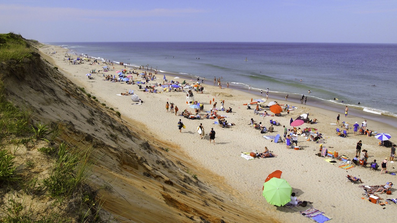 Photo of Others in South Chatham