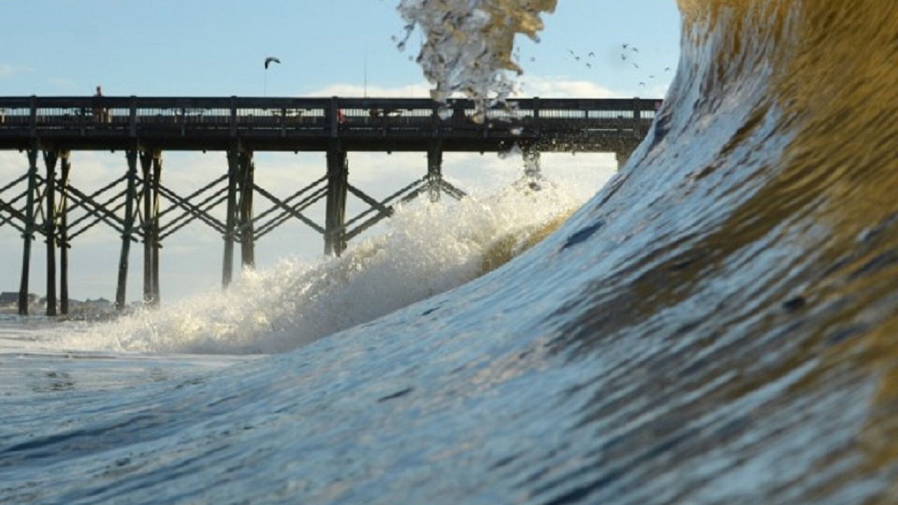 Photo of Others in Folly Beach