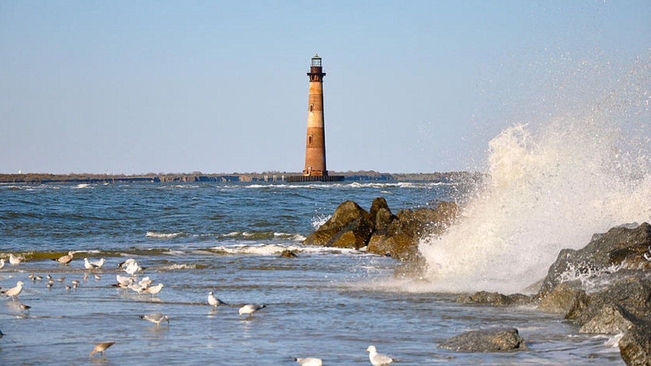 Photo of Others in Folly Beach