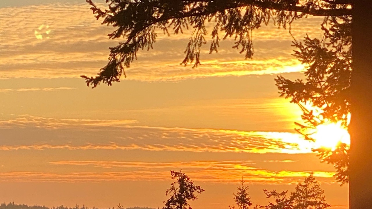 Photo of Others in Anacortes