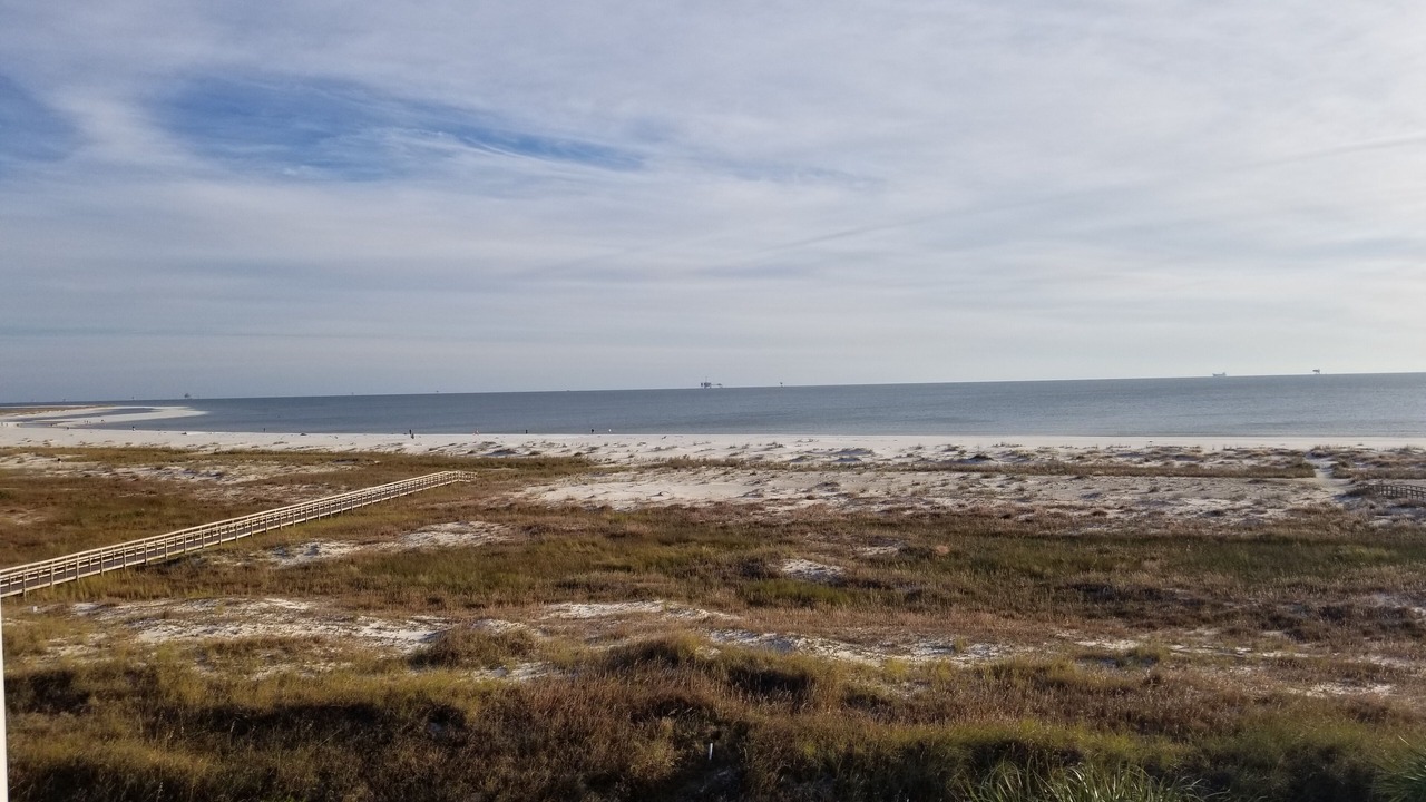Photo of Others in Dauphin Island