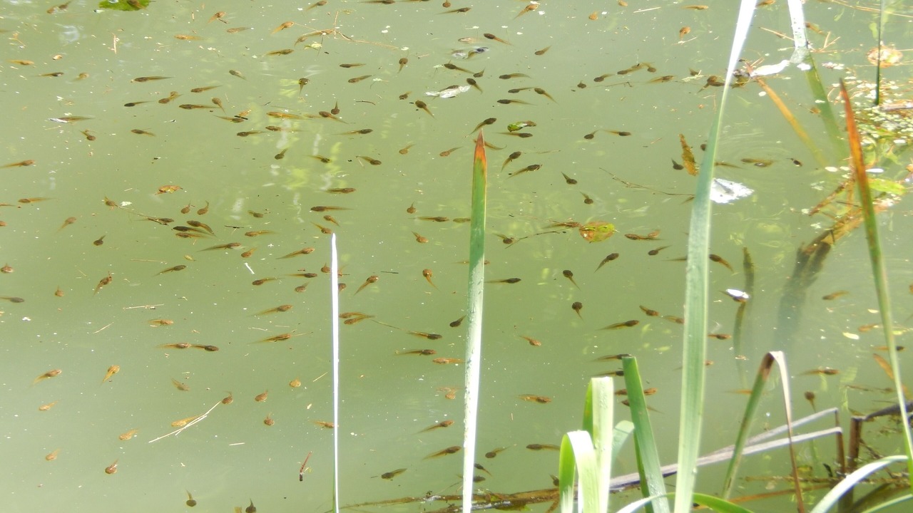 Photo of Others in Orrtanna