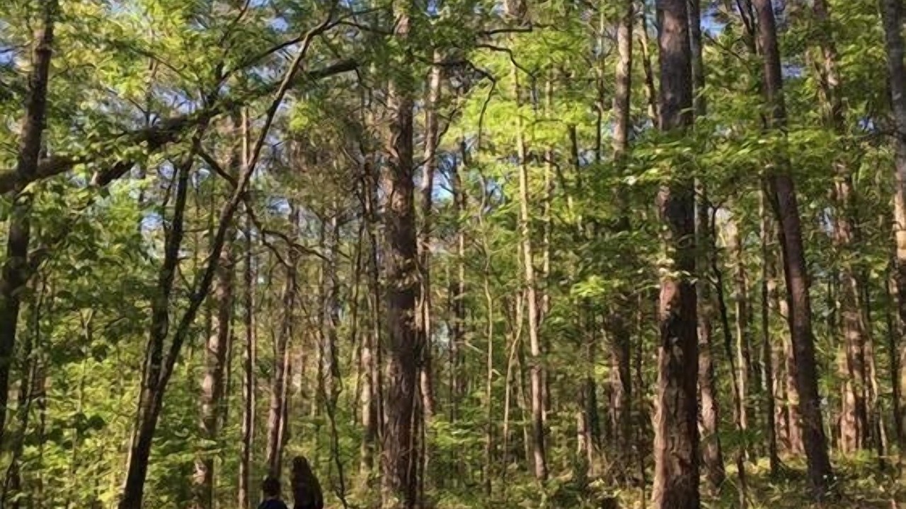 Photo of Outdoor in Hatfield