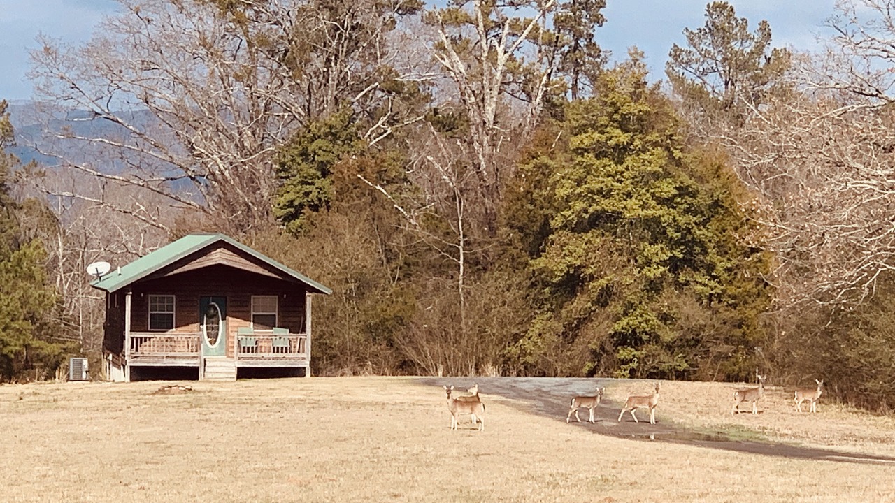 Photo of Others in Hatfield