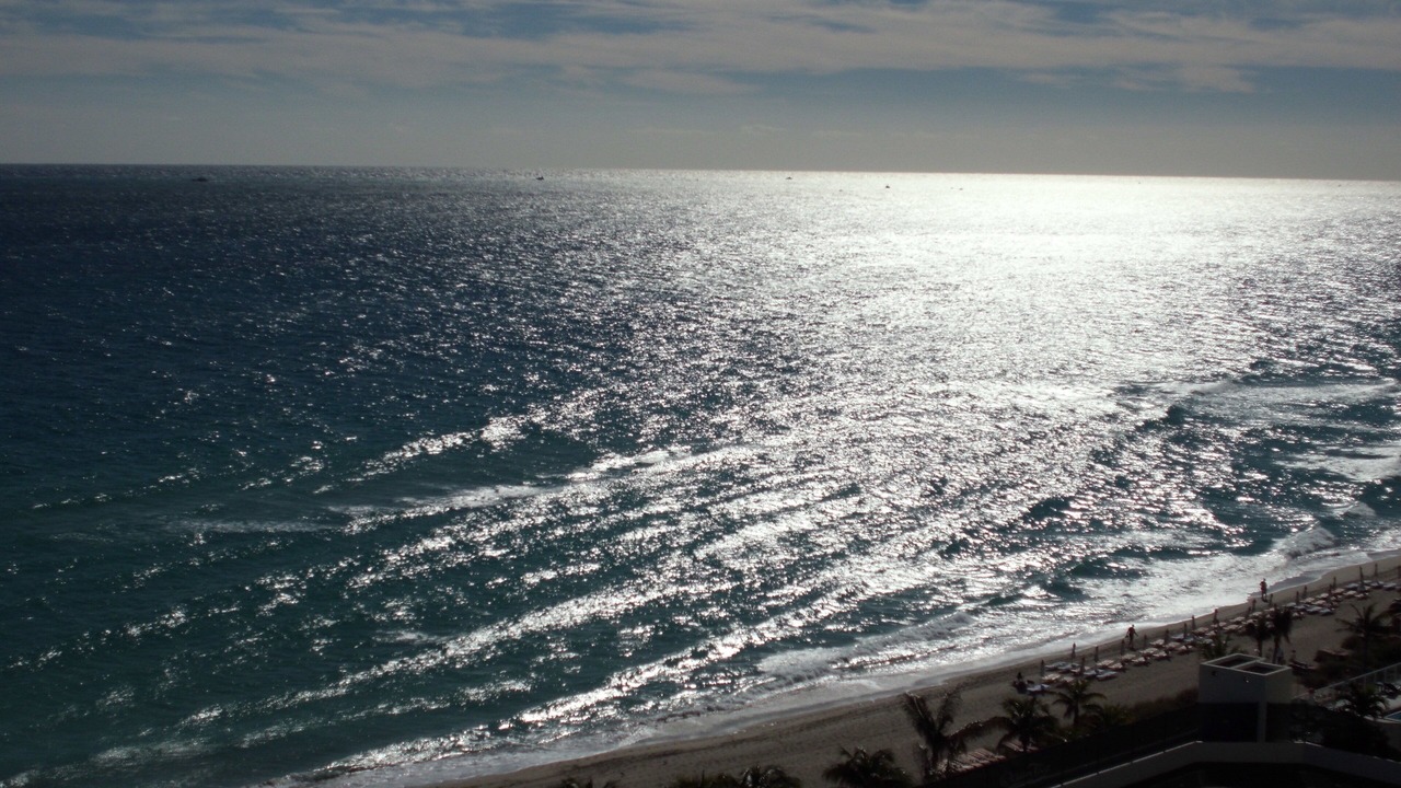 Photo of Others in Sunny Isles Beach