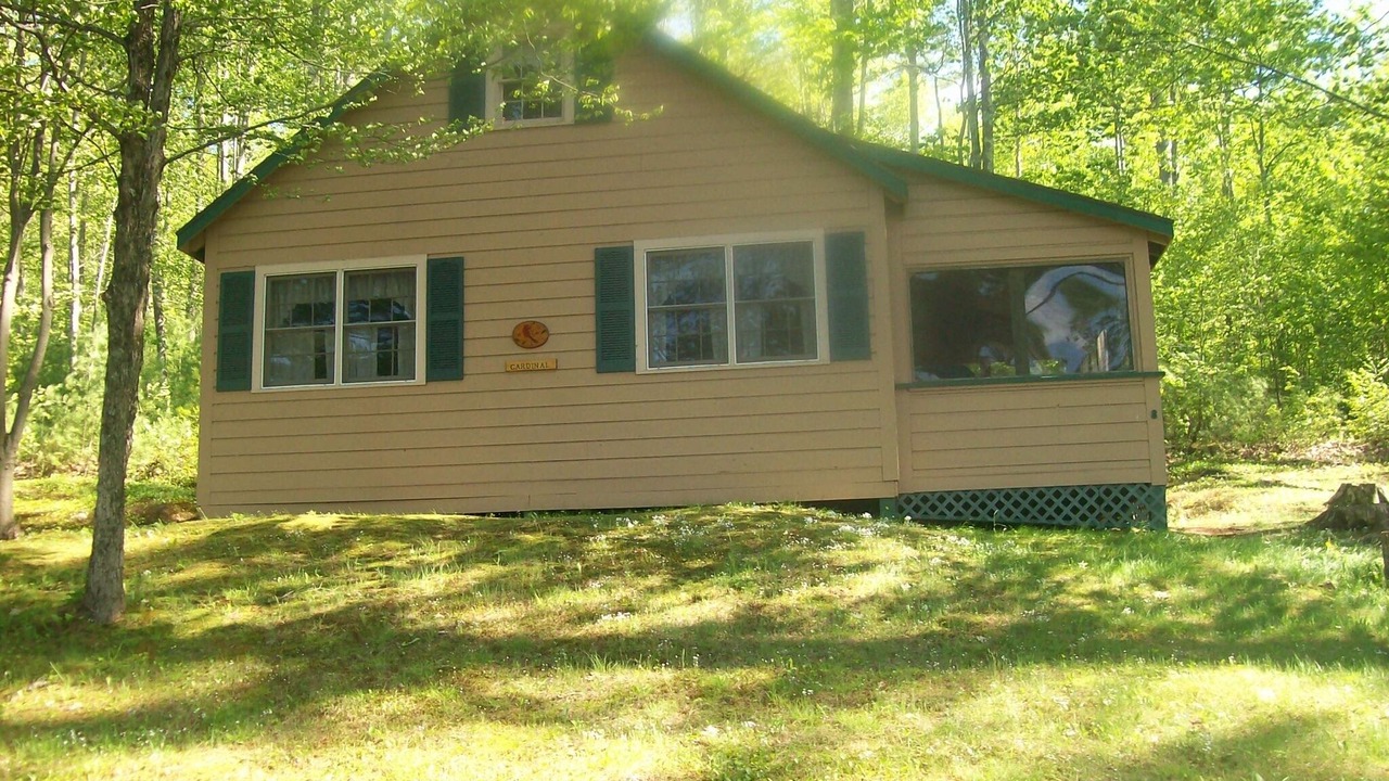 Photo of Others in Leeds