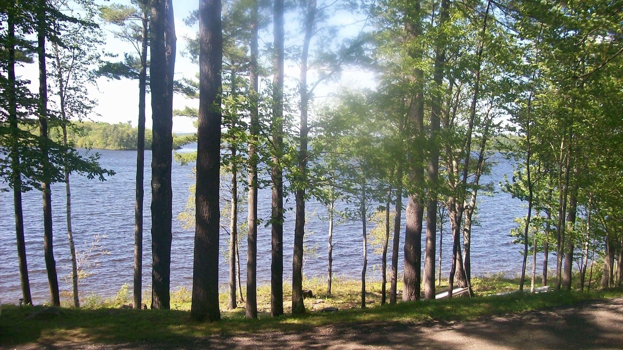 Photo of Others in Leeds