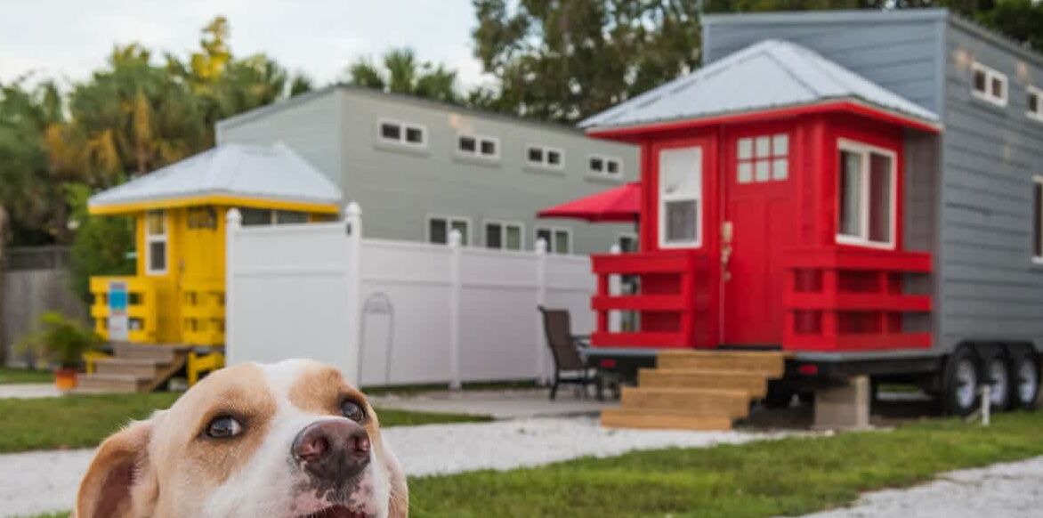 Photo of Others in Sarasota