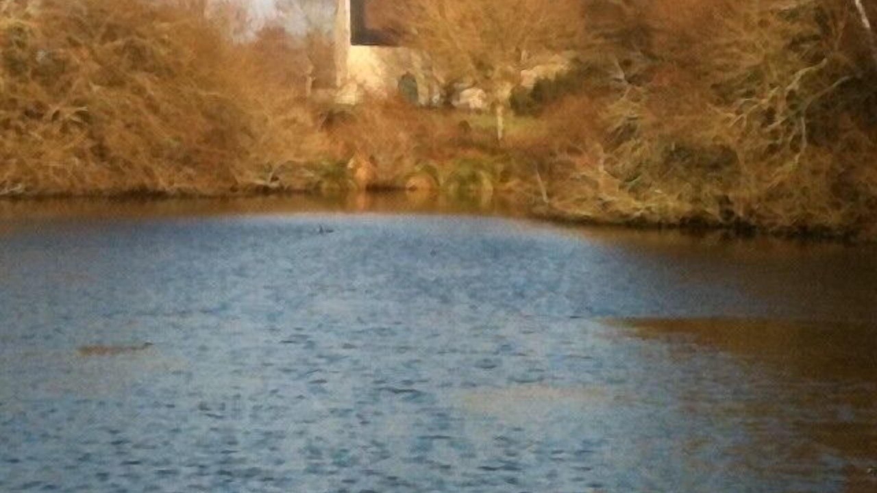 Photo of Others in Plescop