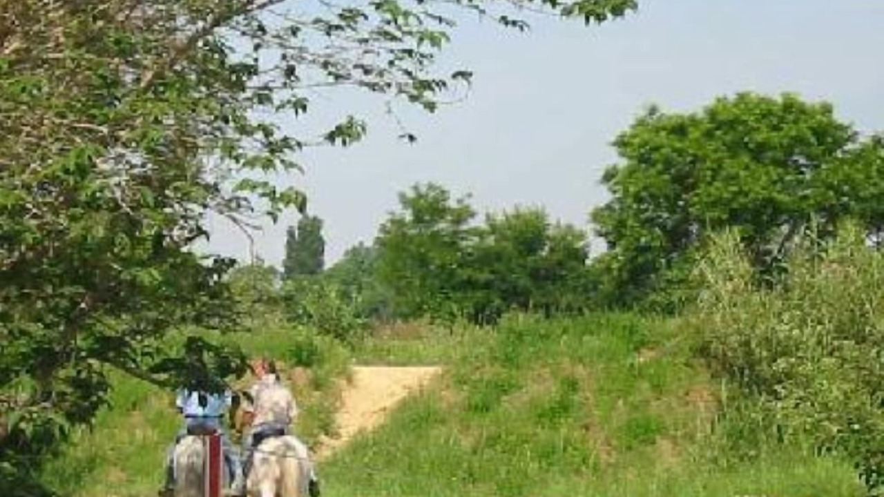 Photo of Outdoor in Lattes