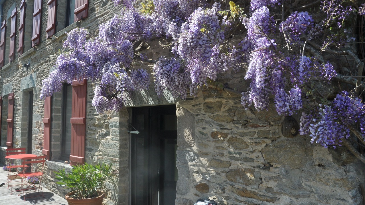 Photo of Outdoor in Urville-Nacqueville